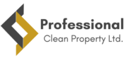 Professional Clean Property Лого без фон